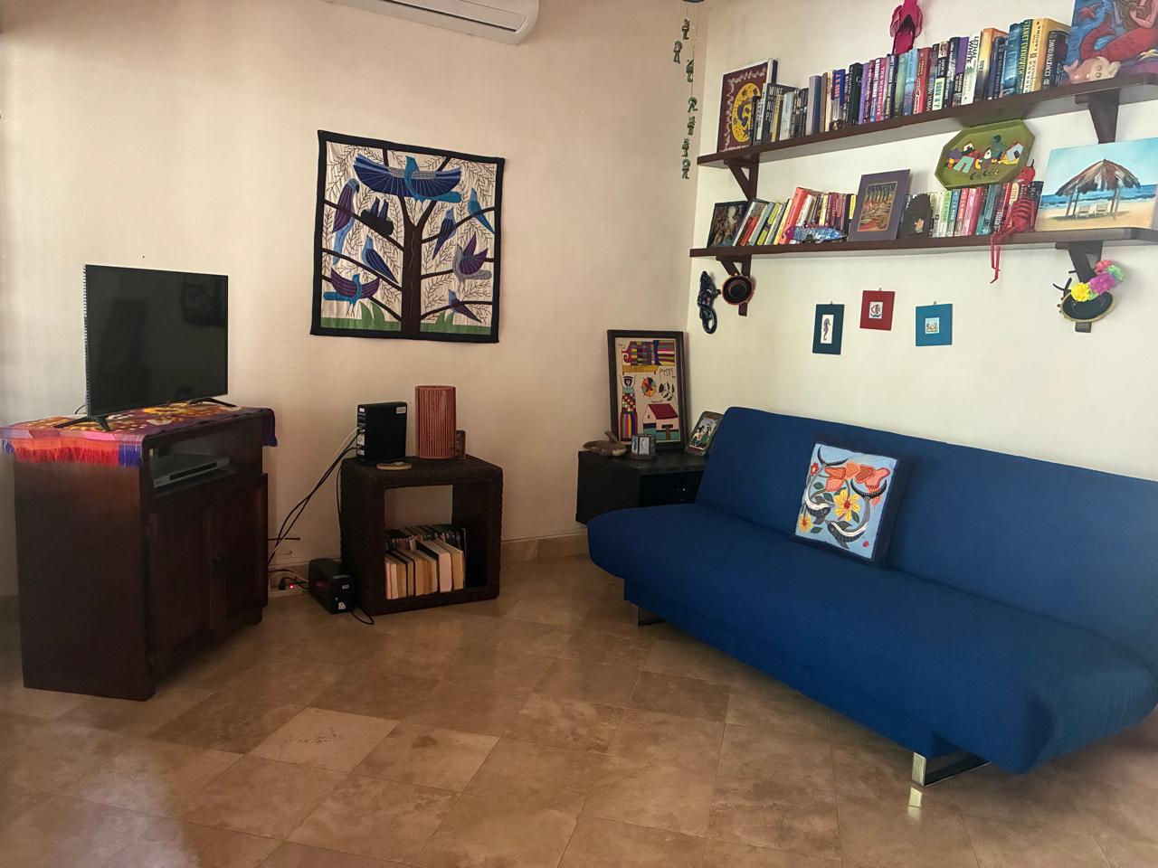 Sala con TV y biblioteca