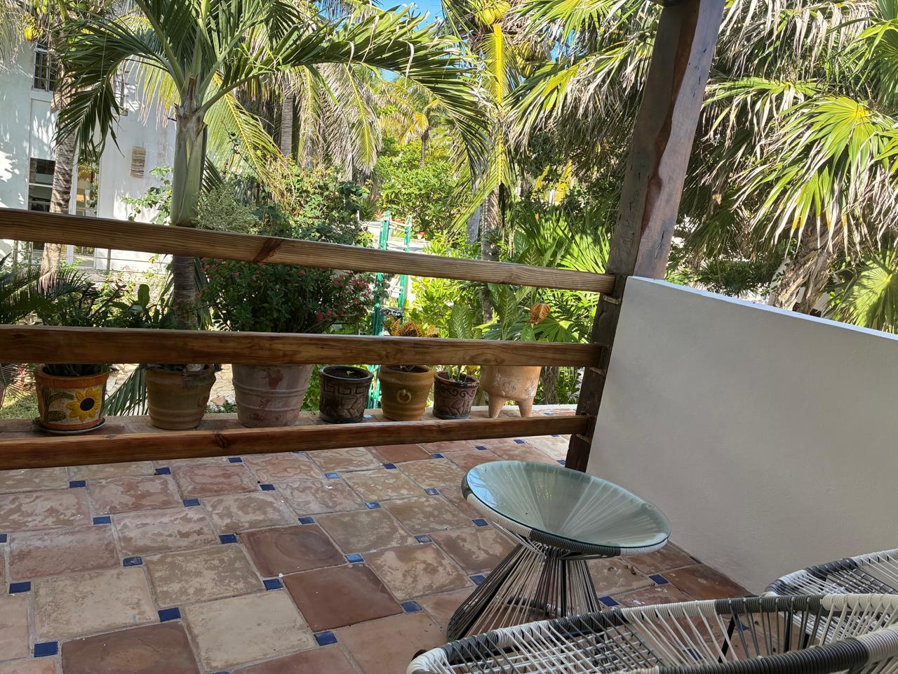 Terraza con macetas y jardín