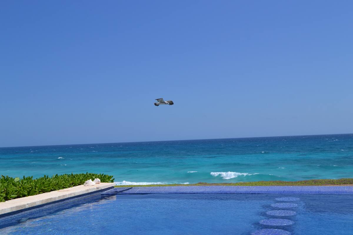 Alberca con vista al Caribe