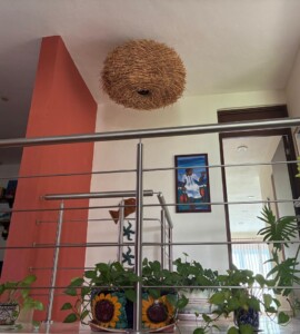 Villa Esperanza - Galería de arte.